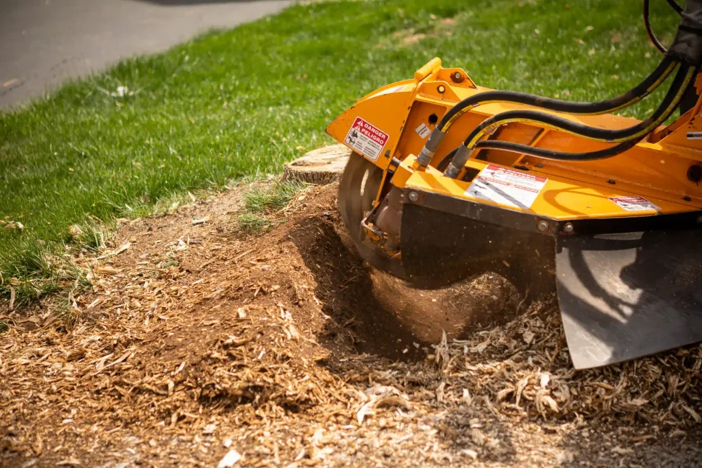 stump grinding nepa grinder