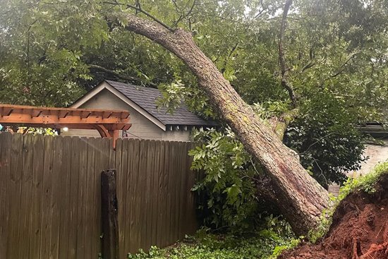 emergency tree service nepa leaning tree