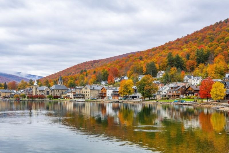 tree service honesdale pa view