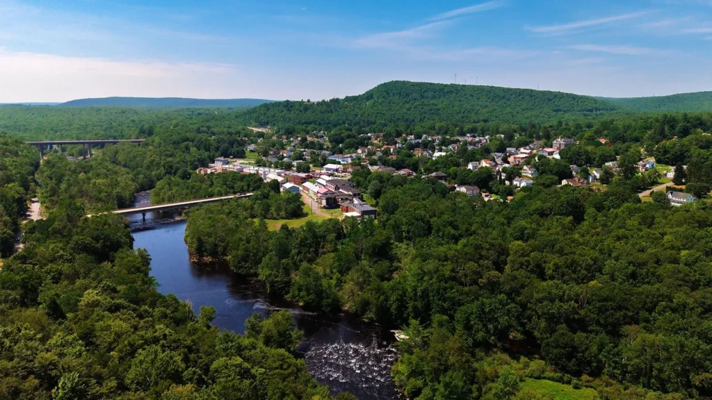 tree-service-nepa-view