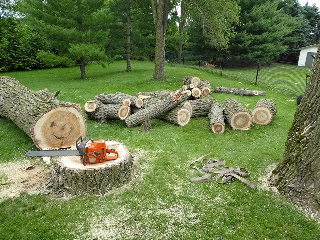 tree removal nepa form image