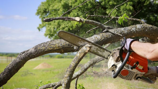tree trimming nepa